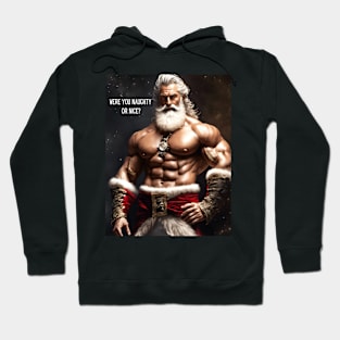 Were you naughty or nice? Hoodie